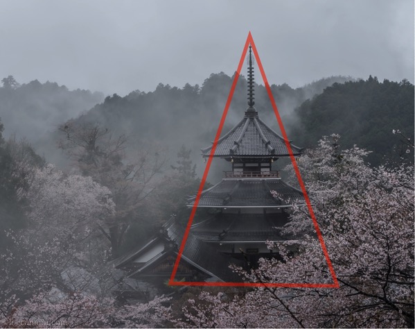 三角構図　桜