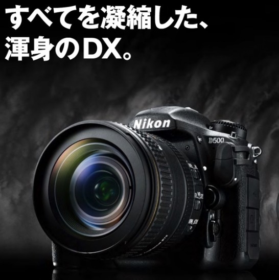 カメラ購入 D500に行くか フルサイズに行くか それとも ログカメラ