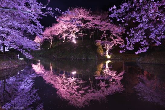 sikanojo-rifu-546x365.jpg