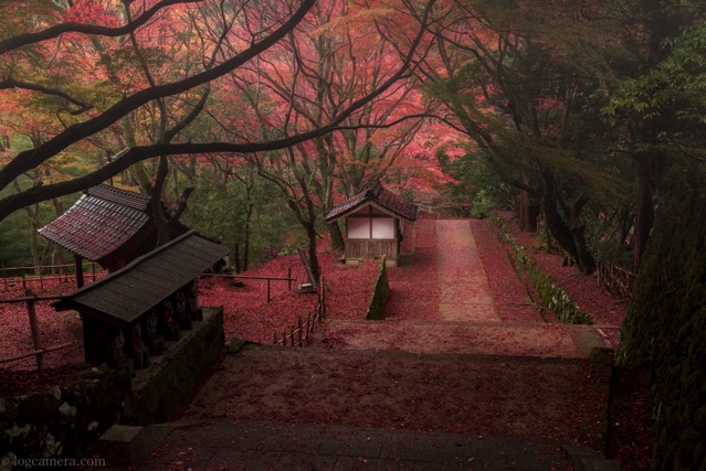 鰐淵寺の紅葉を撮ってきた！