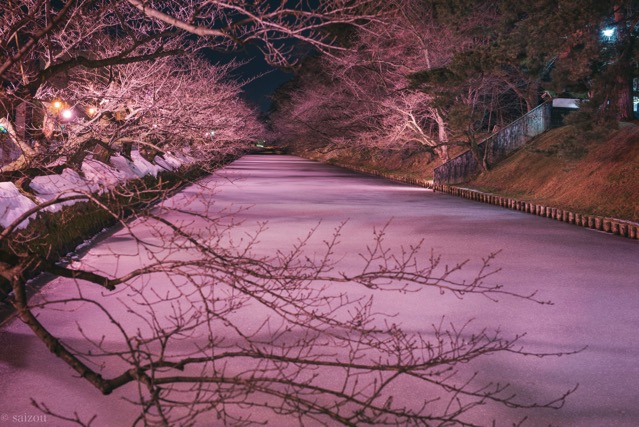 弘前公園　冬に咲くさくらライトアップ
