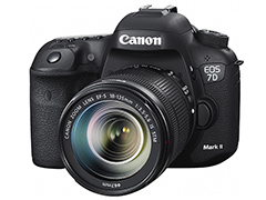【2020年】Canonの一眼レフカメラ（APS-C）まとめ