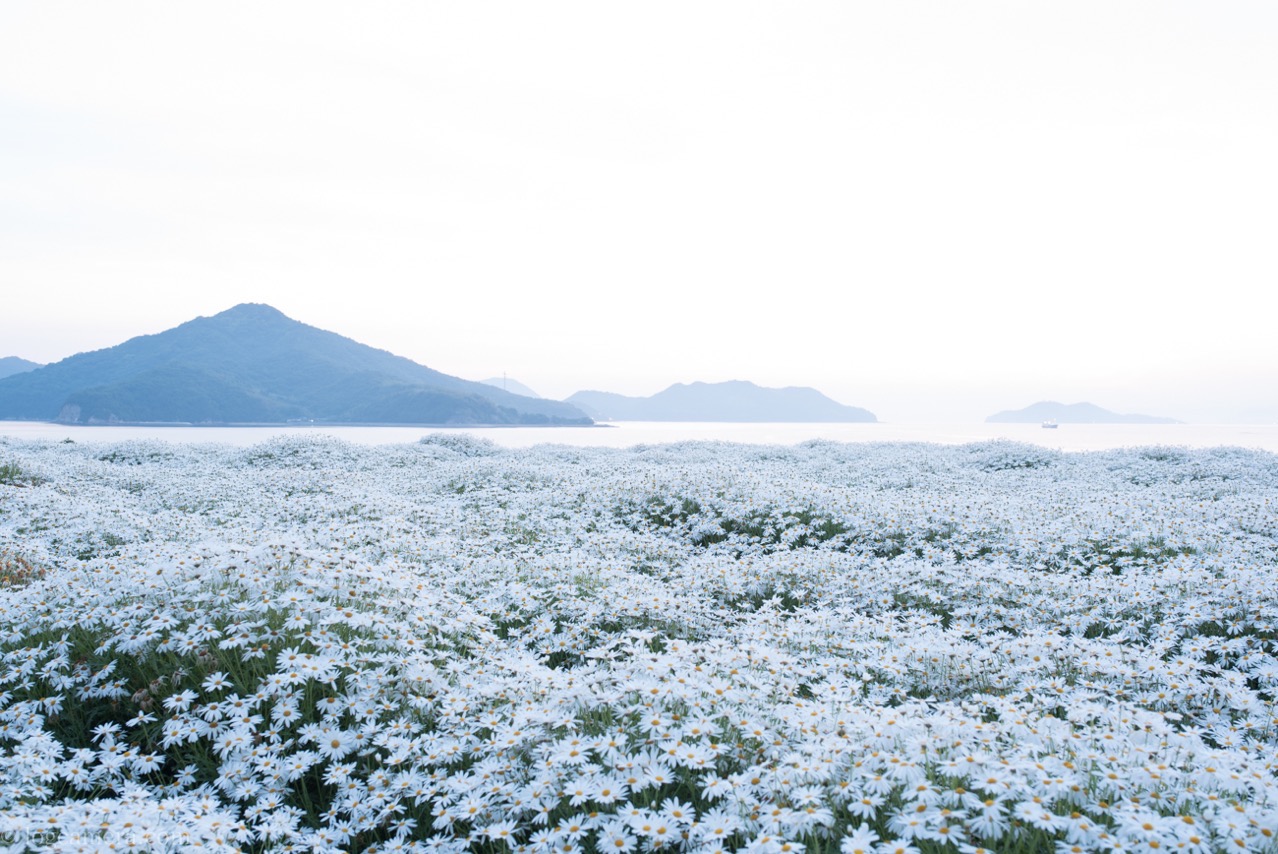 白飛びした写真