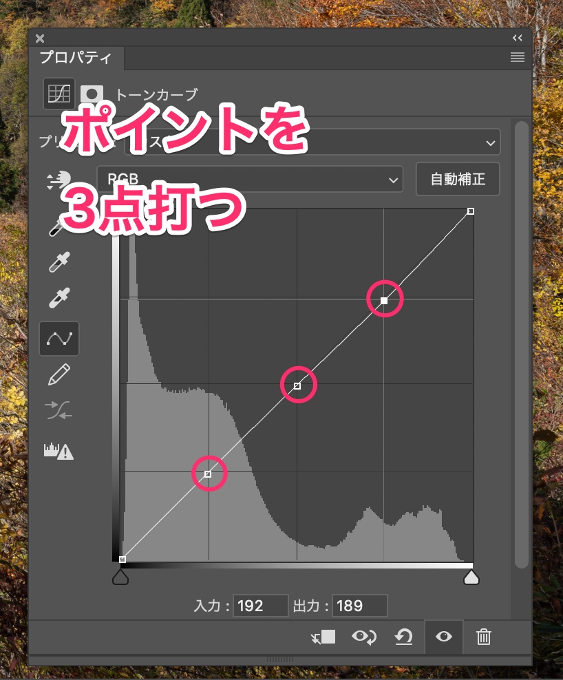 トーンカーブ3点