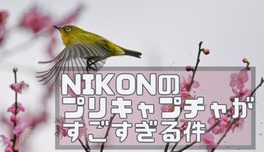 NIKON Z9のプリ撮影機能「プリキャプチャ」が凄すぎてシャッターチャンスを逃さない件
