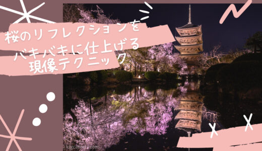 【現像レシピ】桜のリフレクションをLightroomでバキバキに仕上げる現像テクニック！
