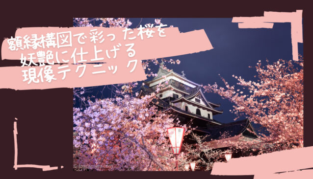 現像レシピ】額縁構図で彩った桜を妖艶に仕上げる現像テクニック