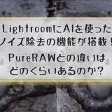 LightroomにAIを使ったノイズ除去の機能が搭載！PureRAWとの違いはどれくらいあるのか？【2023年4月アップデート】