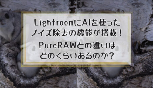 LightroomにAIを使ったノイズ除去の機能が搭載！PureRAWとの違いはどれくらいあるのか？【2023年4月アップデート】