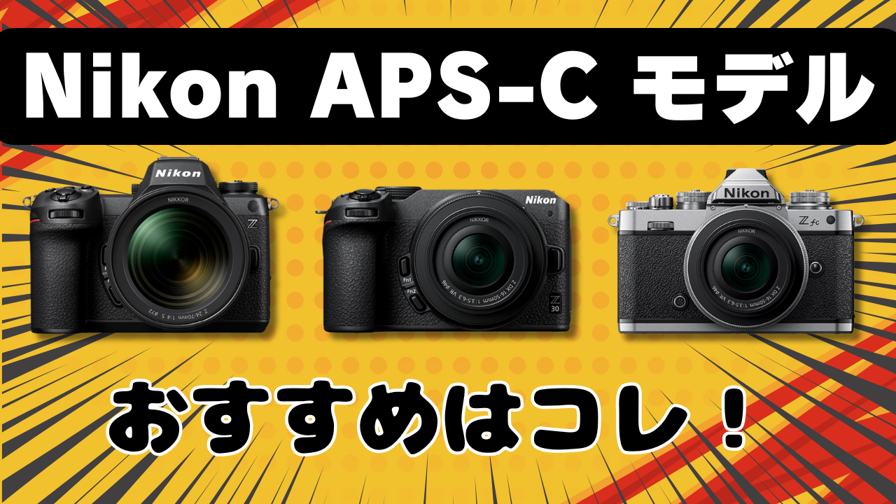 NikonのミラーレスカメラZ50II・Z30・Zfcの性能比較！あなたの