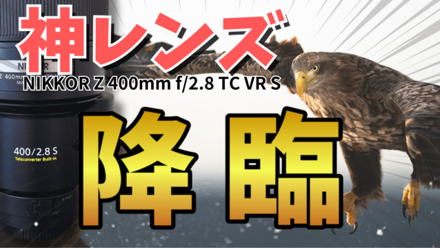 NIKKOR Z 400mm f/2.8 TC VR S 徹底レビュー！内蔵テレコン付き超望遠