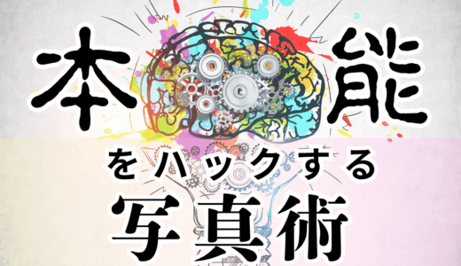 【お知らせ】「本能をハックする写真術」発売開始！RTで5日間限定980円🎉