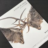A YEAR OF DEERとすべり落ちた缶コーヒー