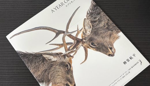 A YEAR OF DEERとすべり落ちた缶コーヒー